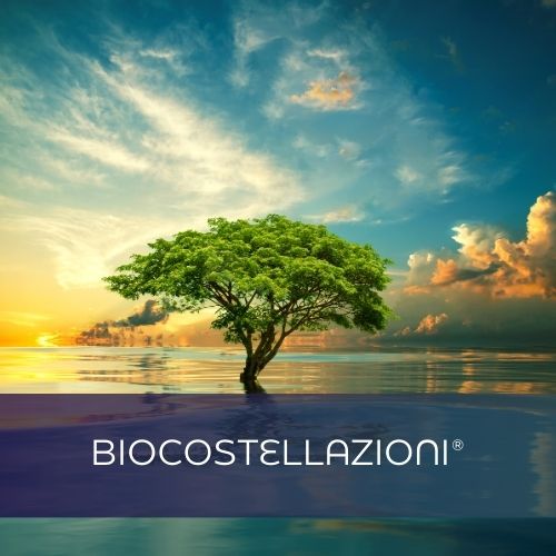 metodo delle biocostellazioni con Giuseppe Tantillo per Phedros