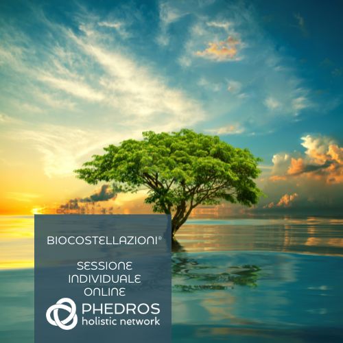 sessione individuale online di Biocostellazioni con Giuseppe Tantillo