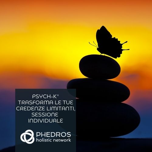 Prenota una sessione online di PSYCH-K® con Giancarlo Merlo