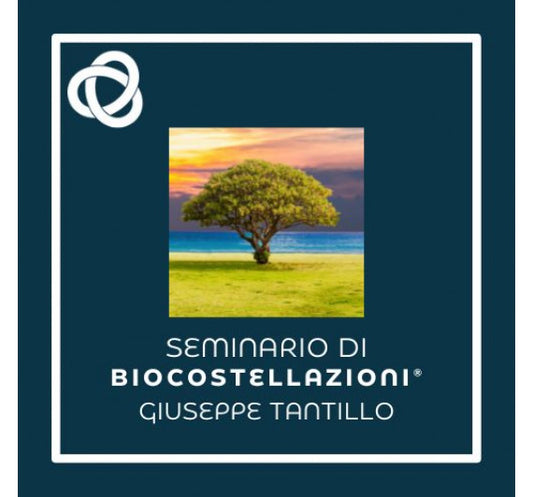 BIOCOSTELLATIONS : rencontre collective